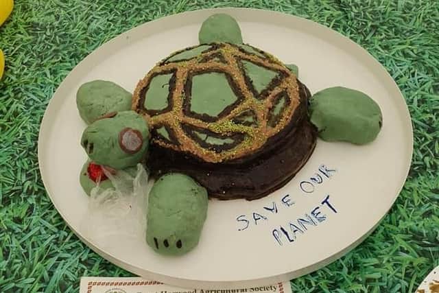 Holly's first prize winning turtle cake.