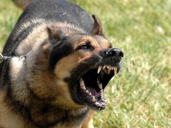 Dog attacks have risen in the Ribble Valley