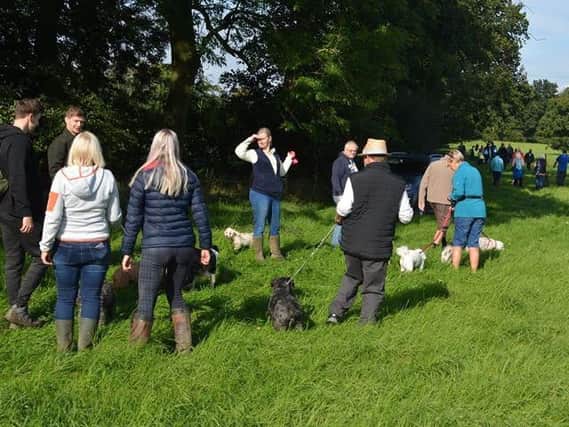 Local fundraisers and their four-legged friends get ready for the charity walk