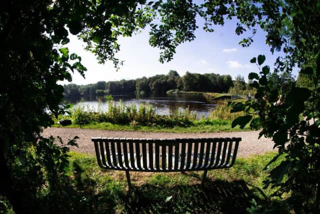 Ethan's bench looks out across the lake at Rowley