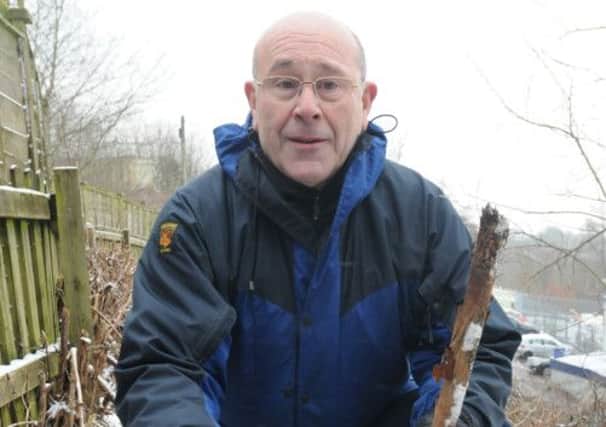 Primet Community Centre head gardener John Hall with the Japanese Knotweed that is to be removed..