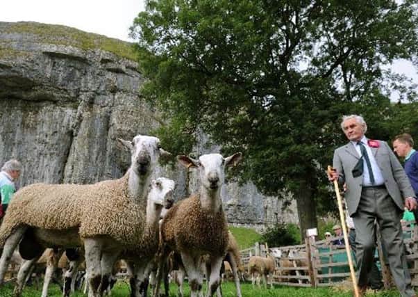 ohn Townson Judging the Blue Faced Leicester ram lambs at Kilnsey show in the shadow of Kilnsey Crag.