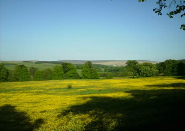 GLORIOUS: Open fields from Red Lees Road