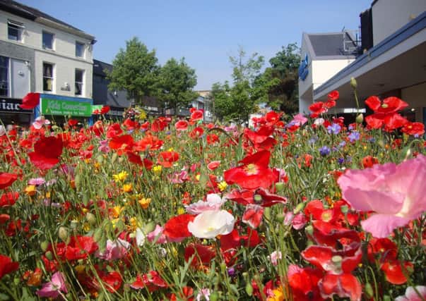 SUMMER COLOUR: Burnley town centre flowers in bloom
