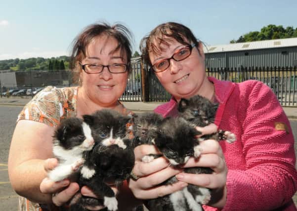 Traci Yates and Leanne Laycock are pictured in Nelson with the kittens that will need new homes.
