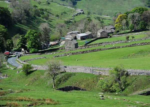 The Hamlet of Cray in upper Wharfedale.  3 June 2013. Picture Bruce Rollinson