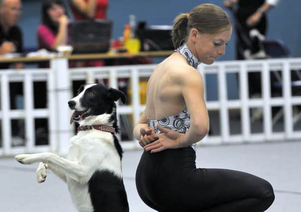 Dancing dag ... Kate Nicholas, who appeared on Britain's Got Talent, and her dog Ice.