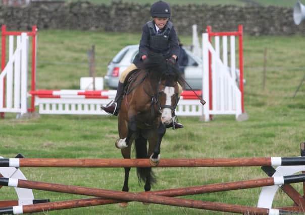 Show jumping action at Trawden Show.