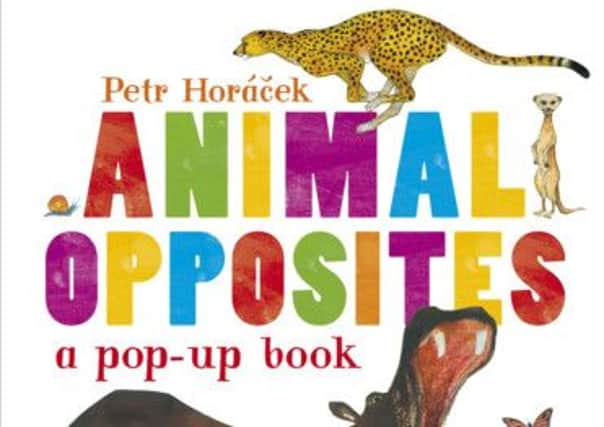 Animal Opposites by Petr Horáek and other childrens books about creative creatures