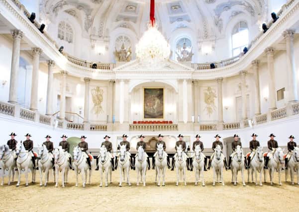 The Spanish Riding School of Vienna