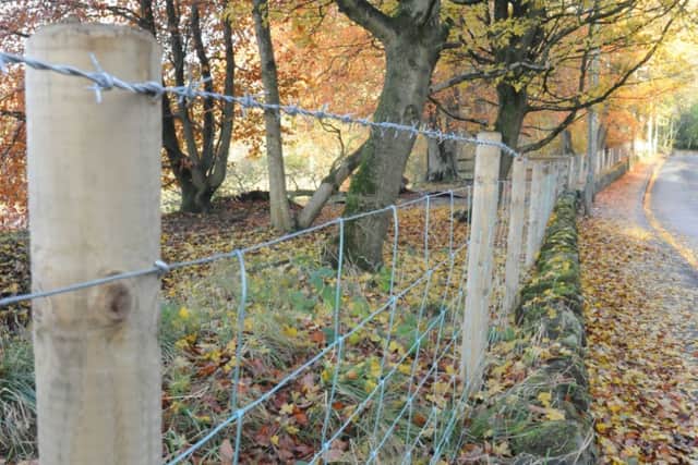 The fence that has been erected around Spring Lodge.
