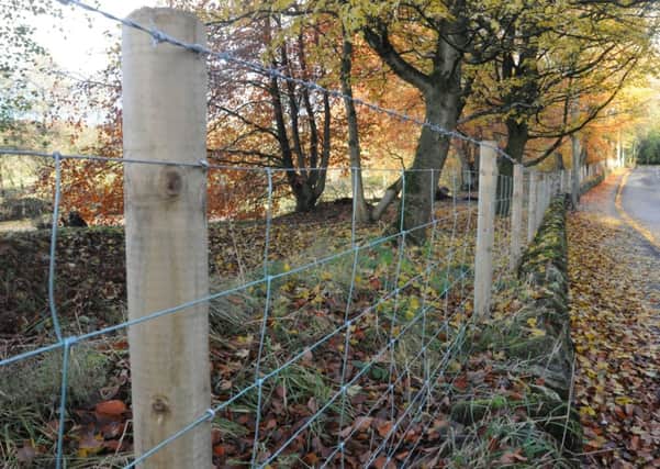 The fence that has been erected around Spring Lodge.