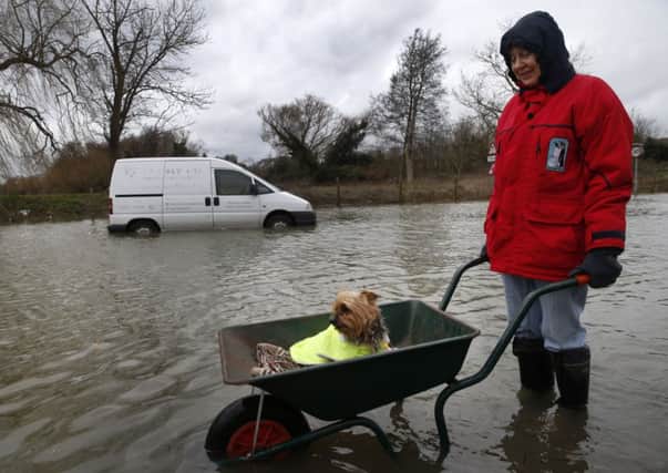 A local resident pushes her dog in a wheelbarrow, in the flooded part ofStaines-upon-Thames (AP Photo/Lefteris Pitarakis)
