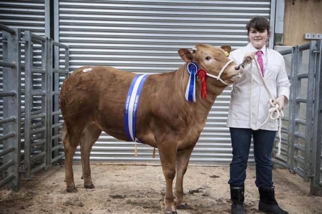 Young Handlers Show and Sale at Gisburn Auction Mart. Jessica Howard-reserve champion winner of Gisburn Auction Marts Cattle Overwintering Competition with her Blonde d'Aquitaine heifer which sold for £1070
