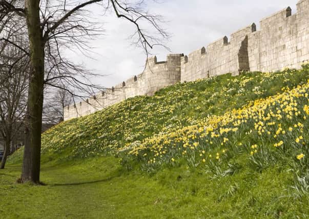 View of the city walls in Springtime copyright Gareth Buddo / Visit York