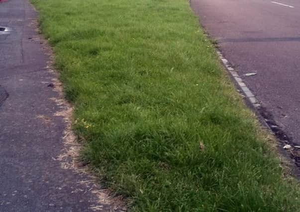The grass verges