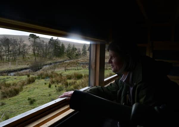 Watching birds from a hyde.  Pic by Nigel Roddis