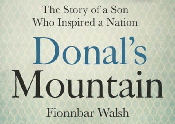 Donals Mountain by Fionnbar Walsh