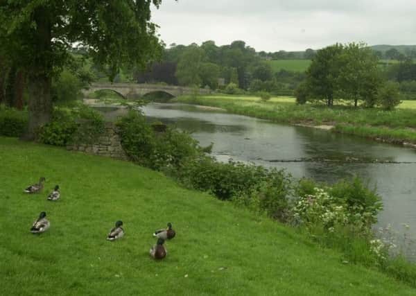 The River Ribble, Sawley