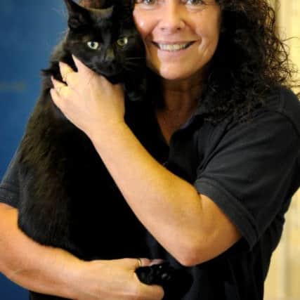 Black and white and all  black cats are being left at the RSPCA in Ribbleton, Preston, because people think they are not photogenic  RSPCA receptionist and animal care assistant Heather Bamber with Jeffrey