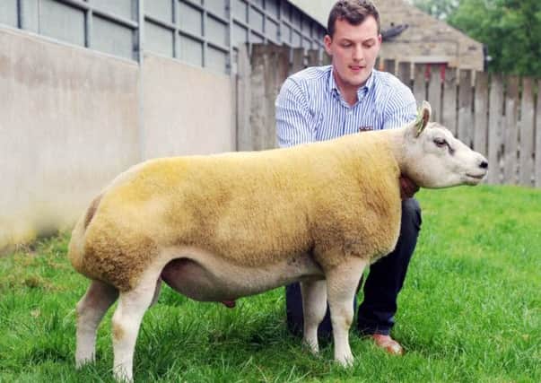 George Cropper Farmer sells prize-winning sheep for £10,000