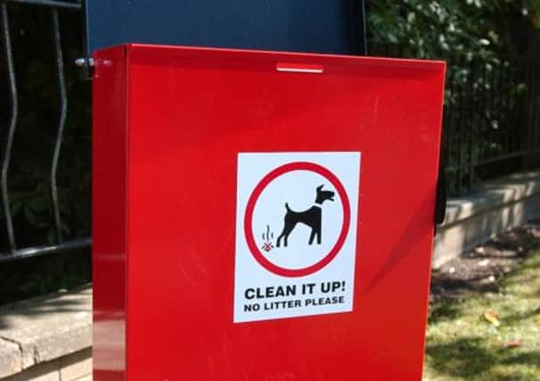 Clean up after your dog.