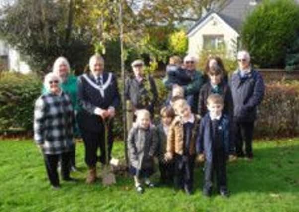 Tree planting in Read