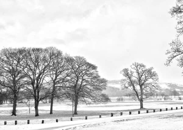 Photo of the Week: Snow in Towneley Park - Stephen Root