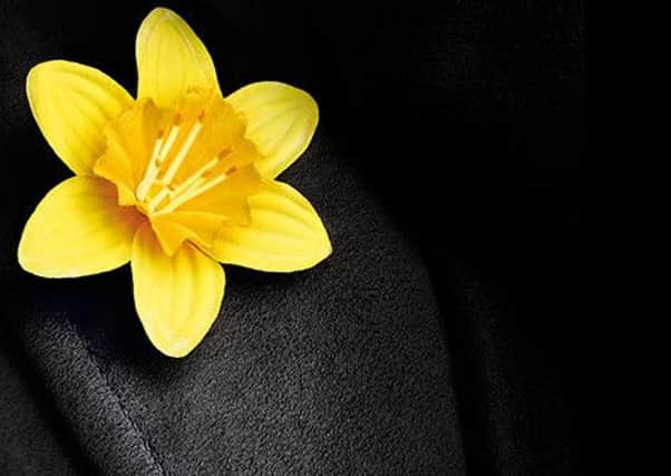 Marie Curie Daffodil Appeal
