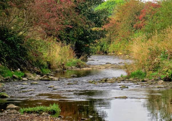 Photo of the Week: River Calder, Burnley - John Clegg