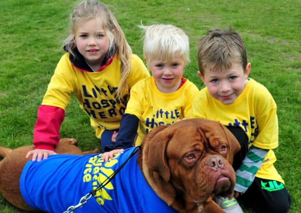 Photo: David Hurst
'Bobo' with Maisie, Max and Jamie Thompson who took part in the Little Hospice Heroes Walk in Towneley Park, Burnley.