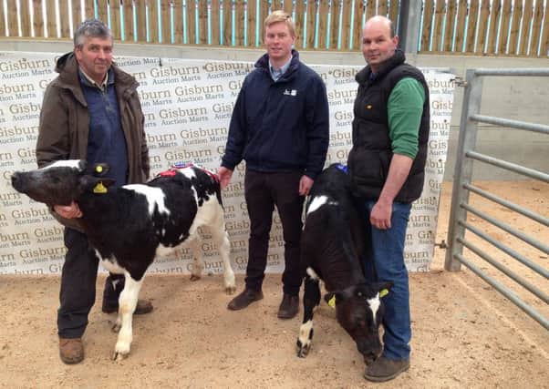 John Shuttleworth with his champion heifer calf, with Henry Sanderson of pre-sale show sponsors Genus, and Brian Blezard with his reserve champion calf.