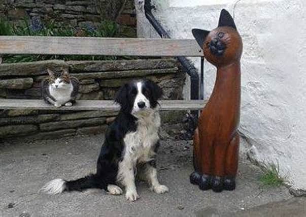 REWARD: The famous wooden Kettledrum Cat that has gone missing.