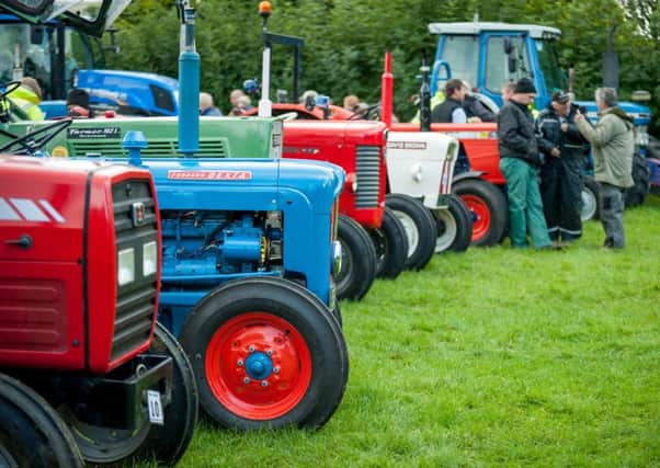 Vintage tractors.