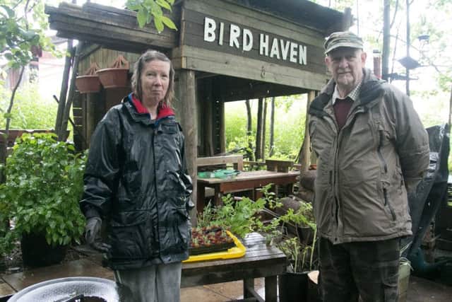 Gillian and Colin Nightingale at their bird haven.