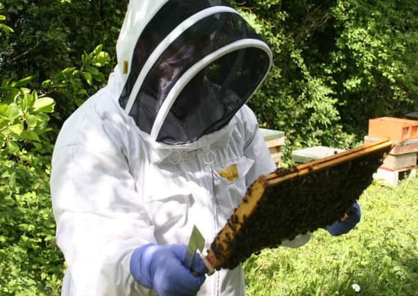 Seb Leaver is Burnley's first beekeeping apprentice