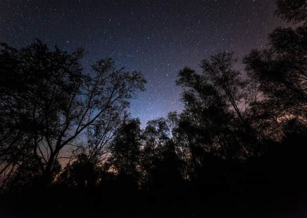 Stars in the dark skies at Gisburn Forest. Photo: Matthew Savage