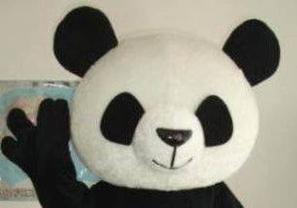Panda - the head's missing