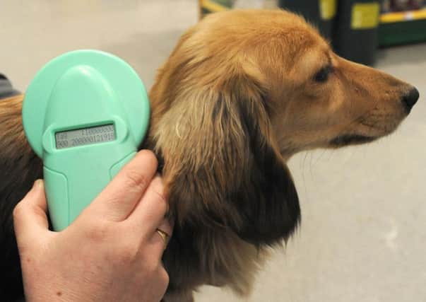 From April 6, all dogs in England, Scotland and Wales will have to be microchipped. In Northern ireland, it is already a legal requirement.