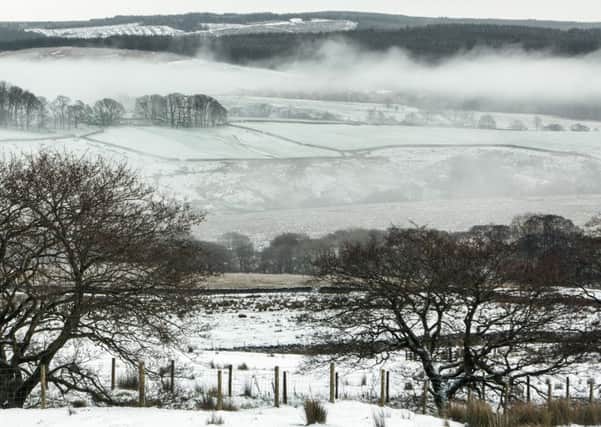 Gisburn Forest from Lamb Hill - a scene photographed by Helen Shaw and featured in new book  The Forest of Bowland
