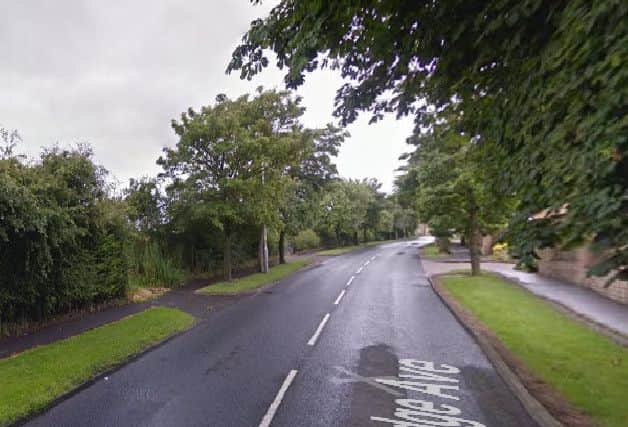 Teenage boy dies after crashing car into tree
