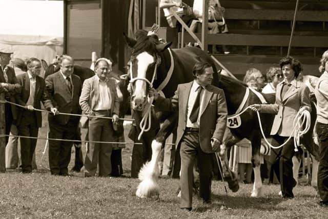 Competitors in the 1980 Royal Lancashire Show parade their hoses in the ring in Blackburn