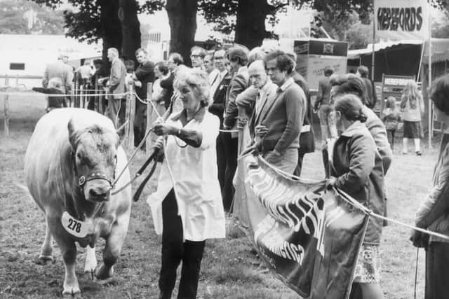 Judging at the 1981 Royal Lancashire Show