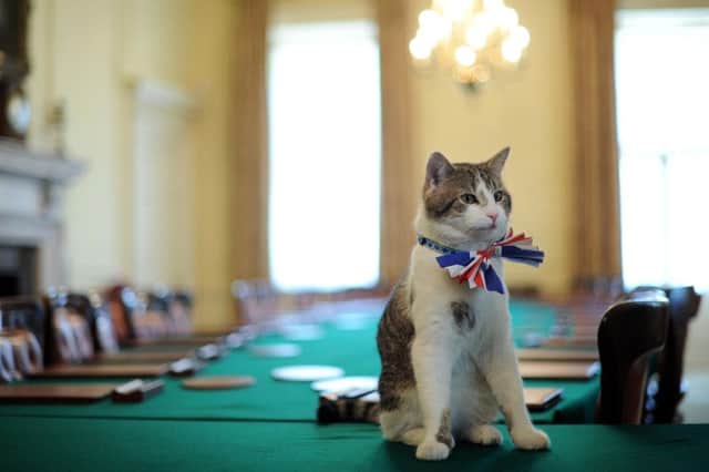 Larry, the 10 Downing Street cat, sits on the cabinet table wearing a British Union Jack bow tie ahead of the Downing Street street party. PRESS ASSOCIATION Photo. Picture date: Thursday April 28, 2011.  Downing Street will hold a street party tomorrow to celebrate the royal wedding of Prince William and Kate Middleton at Westminster Abbey. See PA story ROYAL WeddingParties. Photo credit should read: Ben Stansall/PA Wire