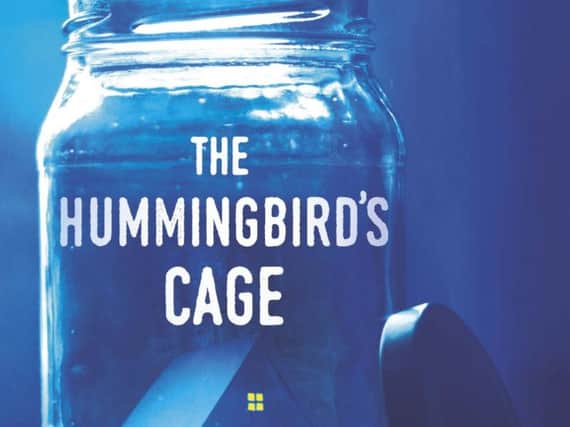 The Hummingbirds Cage byTamara Dietrich
