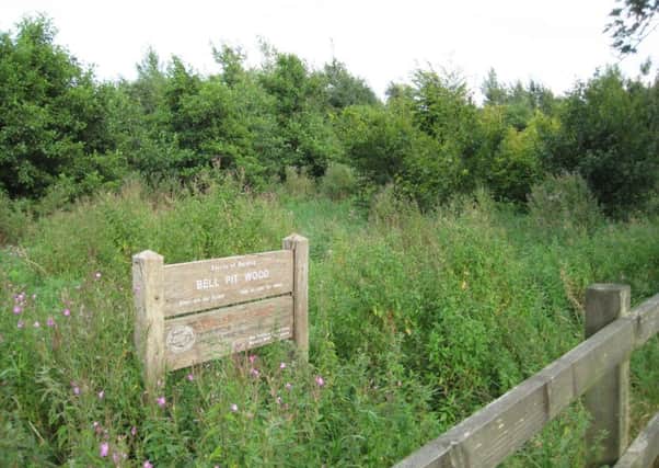 Bell Pit Wood