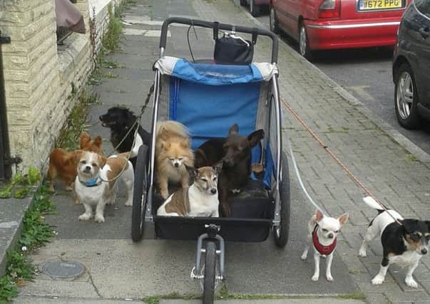 Cressy the dog's stroller which was stolen in Morecambe.