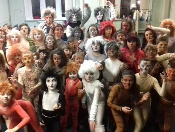Stage Door Youth Theatre is presenting Andrew Lloyd Webber's Cats from Wednesday to Saturday. (s)