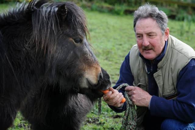 Harry and Carole Johnson have accumulated 10 Shetland ponies at their Wood End farm near Burnley.
Harry gives Callum a carrot.  PIC BY ROB LOCK
12-3-2017