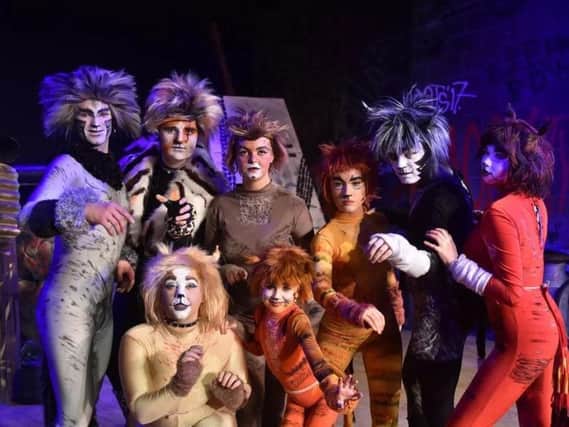 The cast of CATS, presented by Stage Door Youth Theatre. (s)